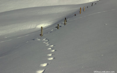 La Prairie à Montaimont