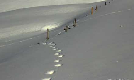 La Prairie à Montaimont