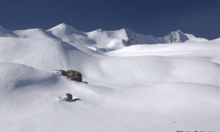 Sur les Pentes du Galibier