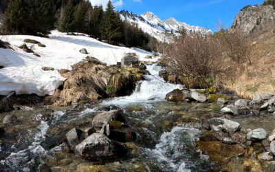 Torrent du Merlet